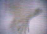Transcomunicaci�n