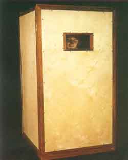 Caja org&oacute;nica creada por W. Reich.