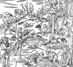 Grabado publicado en De re metallica de 1556. Demuestra la convivencia entre radiestesistas y excavadores.